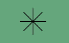 Ein schwarzes, achtzackiges Sternchen-Symbol auf grünem Hintergrund.